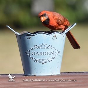 Meet your Posher, Jake